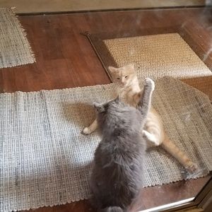 Meet your Posher, Nancy